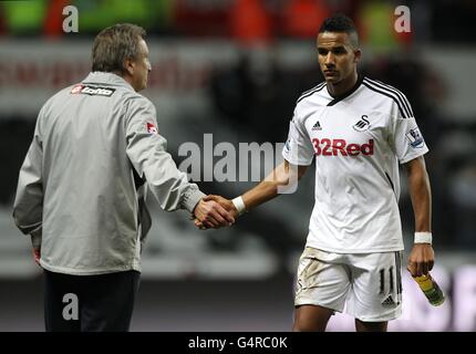 Calcio - Barclays Premier League - Swansea City v Queens Park Rangers - Liberty Stadium Foto Stock