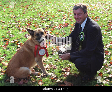 Animali Cani/Fitzpatrick Foto Stock