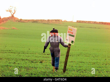 Azienda agricola Slogan Foto Stock