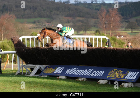 Horse Racing - Ludlow Racecourse Foto Stock