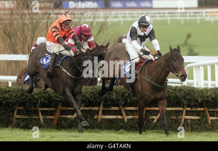 Horse Racing - Natale 2011 Festival - Festival Istabraq Hurdle - Leopardstown Racecourse Foto Stock