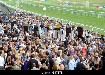 Folle impaccate all'Haydock Park a Rose of Lancaster Stakes Giorno Foto Stock