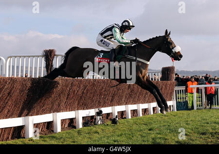 Horse Racing - Festival del giorno di prove - Cheltenham Racecourse Foto Stock