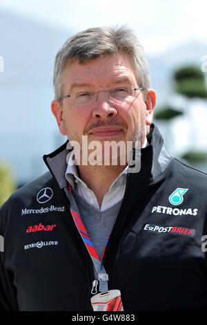 Il team principal della Mercedes GP Petronas Ross Brawn arriva a Silverstone durante la giornata dei paddock per il Gran Premio di Formula uno Santander al circuito di Silverstone, Northampton. Foto Stock