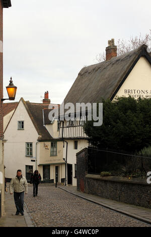 Norwich viste generali. Una vista generale della zona di Elm Hill di Norwich Foto Stock