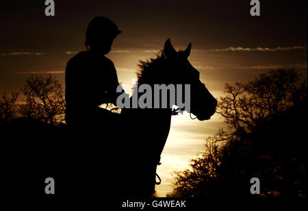 Un cavallo è silhouetted mentre va al posto prima L'inizio del wetherbyracing.co.uk handicap steeple inseguimento Foto Stock