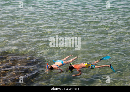 Paio di snorkeling in acque trasparenti Foto Stock