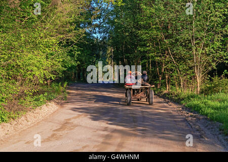 Sul cavallo carrello giace un aratro per arare. Foto Stock