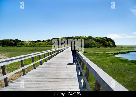 Stagno di sale, Cape Cod, Massachusetts ponte pedonale su marsh Foto Stock