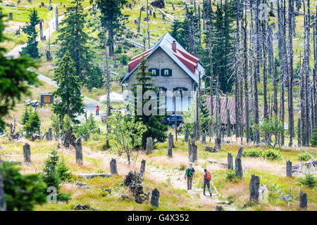 Baita Waldschmidthaus, gli alberi morti, escursionismo modo, escursionisti, Nationalpark Bayerischer Wald, Parco Nazionale della Foresta Bavarese, Germa Foto Stock