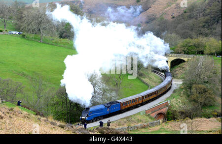 La locomotiva Bittern 4464 vicino alla stazione di Goathland, nello Yorkshire del Nord, mentre tira le carrozze di teak LNER sul servizio 'Flying Scotsman' durante il gala di vapore di primavera lungo la North Yorkshire Moors Railway, la linea ospiterà dieci diversi motori a vapore nel corso di due lunghi fine settimana di questo mese. Foto Stock