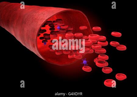 Vaso sanguigno con bloodcells fluente attraverso Foto Stock