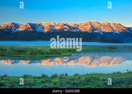 La nebbia che salgono dal laghetto di culver sotto il Centennial Mountains al Red Rock Lakes National Wildlife Refuge vicino a lakeview, montana Foto Stock