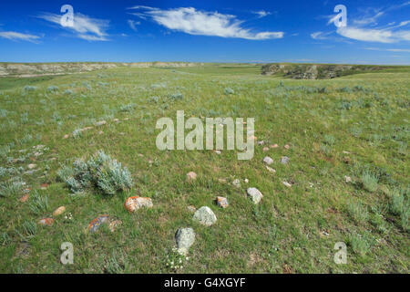 Tende tepee anello su prairie al di sopra del latte sulla valle del fiume vicino a Le Havre, Montana Foto Stock