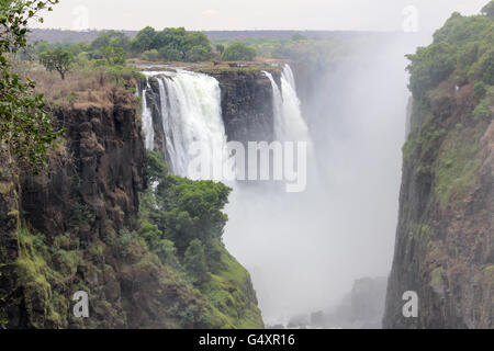 Lo Zimbabwe, Matabeleland North, Hwange, Victoria Falls National Park, Victoria Falls, su Safari Foto Stock