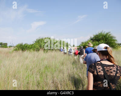 Il Botswana, Northwest Ngamiland North, Okavango Delta, in Mokoro Expedition - safari a piedi passeggiando tra i turisti Foto Stock