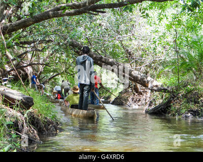 Il Botswana, Northwest Ngamiland North, Okavango Delta, sulla spedizione Mokoro Foto Stock