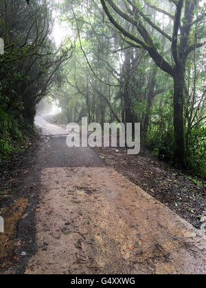 Malaysia, Pahang, abbandonato strada in Cameron Highlands Foto Stock