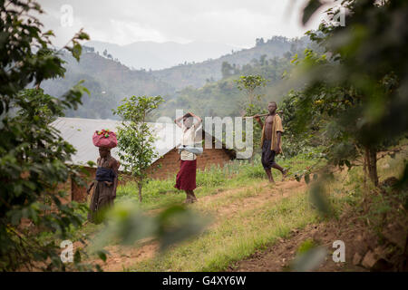 Gli agricoltori a piedi verso il basso un villaggio rurale lane alle pendici del Rwenzori Mountains sulla RDC / Uganda confine. Foto Stock