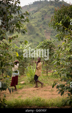 Gli agricoltori a piedi verso il basso un villaggio rurale lane alle pendici del Rwenzori Mountains sulla RDC / Uganda confine. Foto Stock