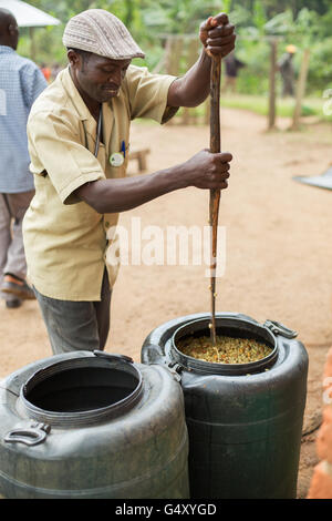 Un lavoratore suscita i chicchi di caffè in un serbatoio di fermentazione presso un piccolo produttore di caffè in Kasese, distretto, Uganda. Foto Stock