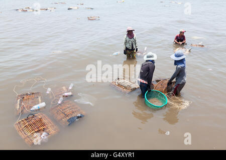 Cambogia, Kep granchi mercato, pescatori granchio di vendita presso il mercato di granchi Foto Stock