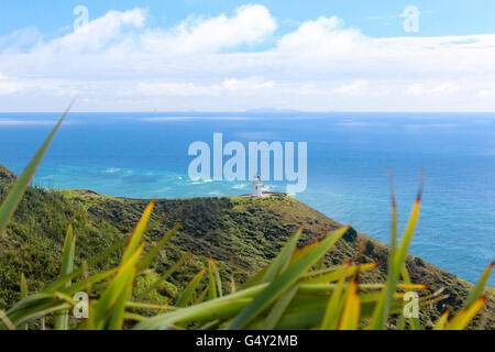 Nuova Zelanda, Isola del nord, Northland e Cape Reinga, vista sulla campagna Foto Stock