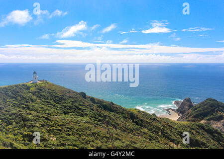 Nuova Zelanda, Isola del nord, Northland e Cape Reinga, vista sulla campagna Foto Stock