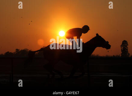 Un cavallo e un fantino sono silluettati durante l'ultima gara Del giorno sulla pista di tutte le condizioni meteorologiche a Lingfield Park Racecourse Foto Stock