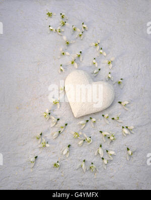 Pietra Bianca cuore intagliato e snowdrop fiori su carta velina. Foto Stock