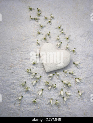 White scolpiti nella pietra e cuore snowdrop fiori su carta velina. Foto Stock