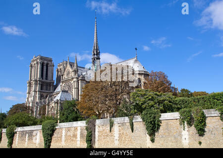 Famosa Cattedrale di Notre Dame a Parigi, Francia Foto Stock