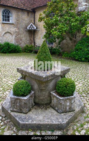 Topiaria da il pezzo centrale nel cortile a Igtham Mote, Kent Foto Stock