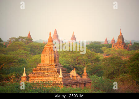 Vecchi templi al tramonto, Old Bagan zona archeologica, Mandalay Regione, Myanmar Foto Stock