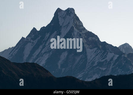 Il Nepal, Regione Occidentale, Ghode Pani, sul circuito di Annapurna - Giorno 14 - Ghorepani a Tikhe Dhunga - Machhapuchare, 6993 m dal Poon Hill prima del sorgere del sole Foto Stock