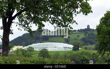 Galles serra giardino Foto Stock