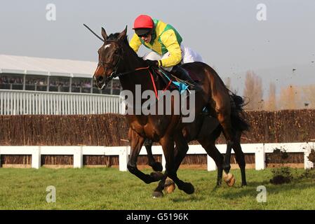 Dimensionamento Europa guidata da Andrew Lynch nel Ladies Day, durante il Cheltenham Festival. Foto Stock