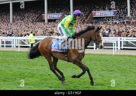 Kauto Star guidato da Ruby Walsh in corso di post per la Betfred Cheltenham Gold Cup Chase, il giorno della Gold Cup, durante il Cheltenham Festival. Foto Stock