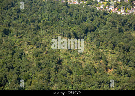 Vista aerea da Bredeney di Stadtwald variava danni, Essen Stadtwald e la zona intorno al Lago Baldeneysee Essen e la regione della Ruhr, Foto Stock