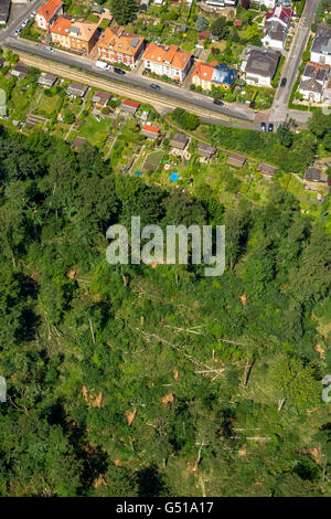 Vista aerea da Bredeney di Stadtwald variava danni, fermata del tram, Essen Stadtwald e la zona intorno al Lago Baldeneysee Foto Stock