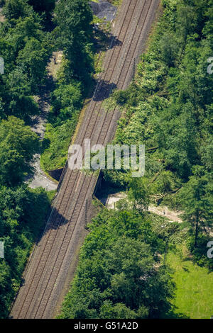 Vista aerea da Bredeney di Stadtwald variava danni, fermata del tram, Essen Stadtwald e la zona intorno al Lago Baldeneysee Foto Stock