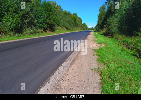 Autostrada vuota attraverso gli alberi e arbusti ed erba Foto Stock