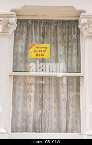 Firmare in favore di un voto per lasciare l'Unione europea nella finestra di stile vittoriano a Londra. Foto Stock