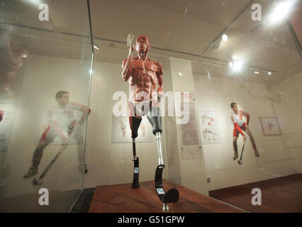 Anatomia di un atleta mostra Foto Stock