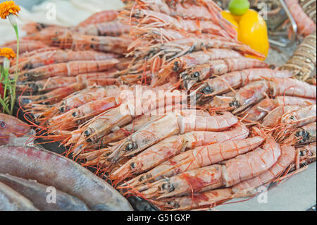 Raccolta di gamberi freschi sul display al ristorante di pesce a buffet Foto Stock