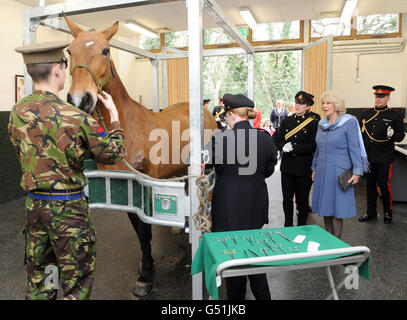 La duchessa di Cornovaglia visita al re della truppa cavallo Royal Artillery Foto Stock