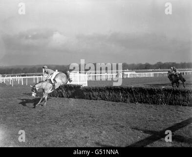 Corse di cavalli - il Sorrel corsa ad ostacoli (Divisione 1) - Ascot Foto Stock