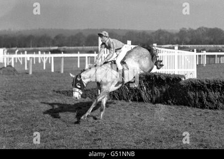 Corse di cavalli - il Sorrel corsa ad ostacoli (Divisione 1) - Ascot Foto Stock