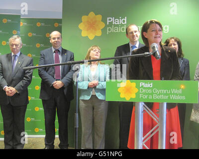 Plaid Cymru leader elezione Foto Stock