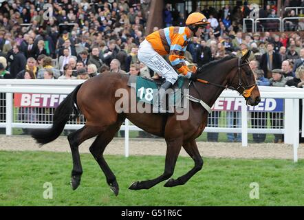 Horse Racing - 2012 Cheltenham Festival - Giorno 4 - Cheltenham Racecourse Foto Stock